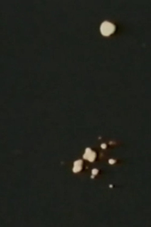 Song 11 poster