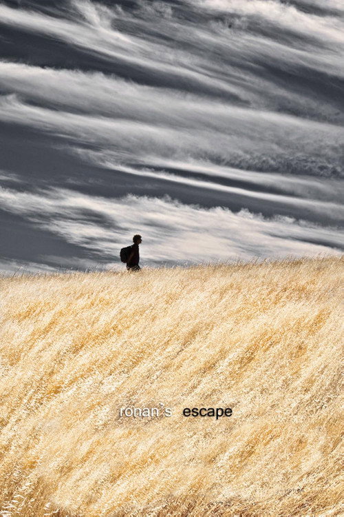 Ronan’s Escape poster