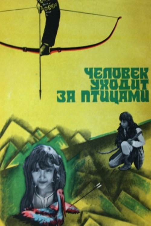 Man Follows Birds poster