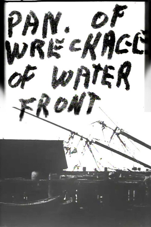 Panorama of Wreckage of Water Front poster