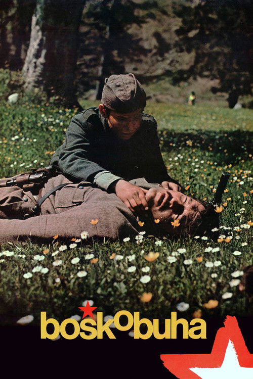 Boshko Buha poster
