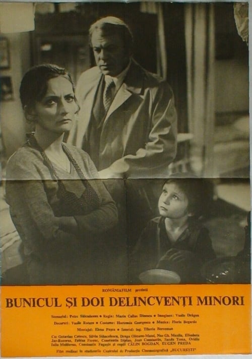 Grandpa and Two Young Offenders poster