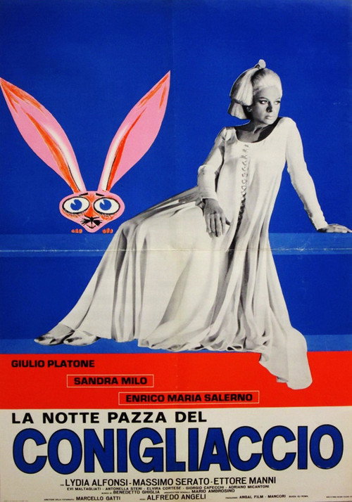 The Strange Night poster