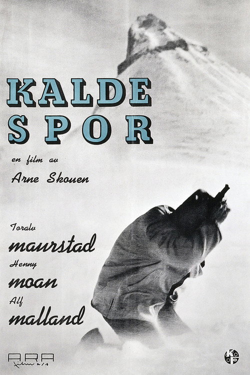 Cold Tracks poster