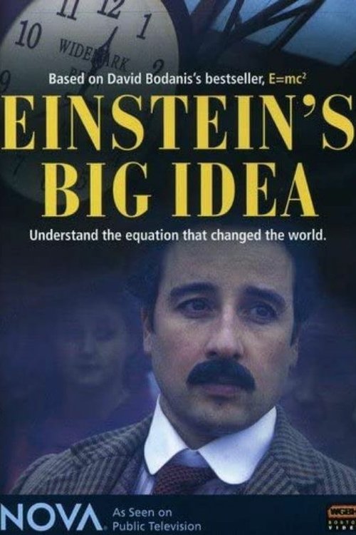 Einstein’s Big Idea poster