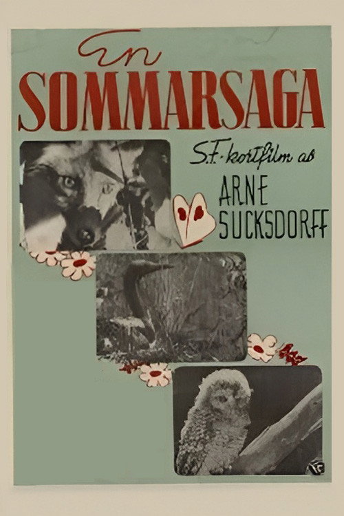 Summer’s Tale poster