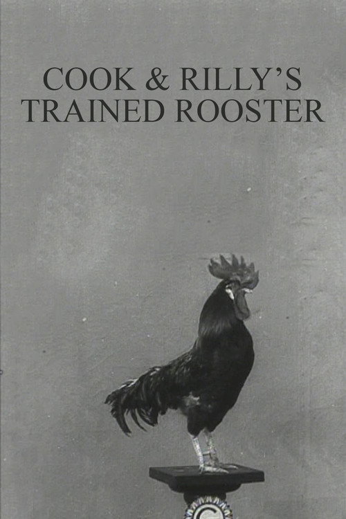 Cook & Rilly’s Trained Rooster poster