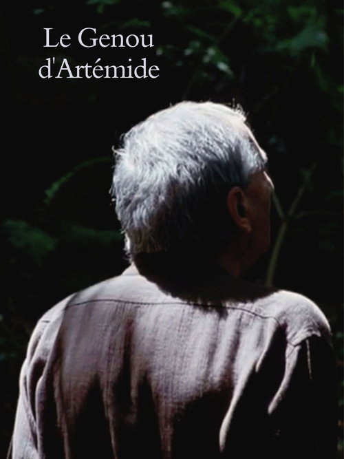 Artemide’s Knee poster