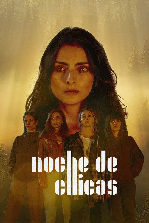 Noche de chicas poster