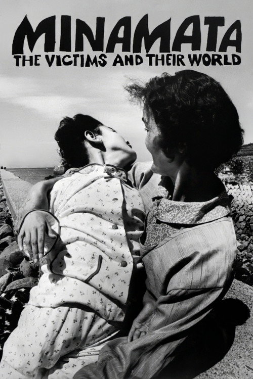 Minamata: The Victims and Their World poster
