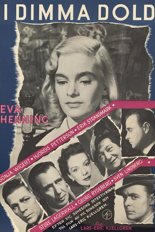 Hidden in the Fog poster