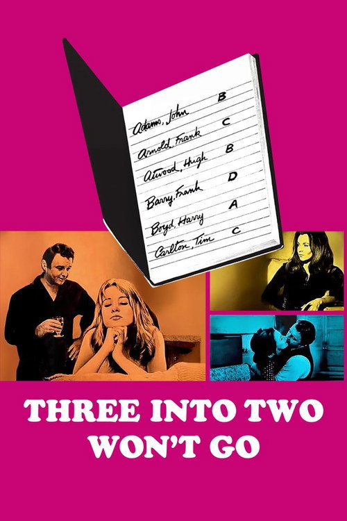 3 Into 2 Won’t Go poster