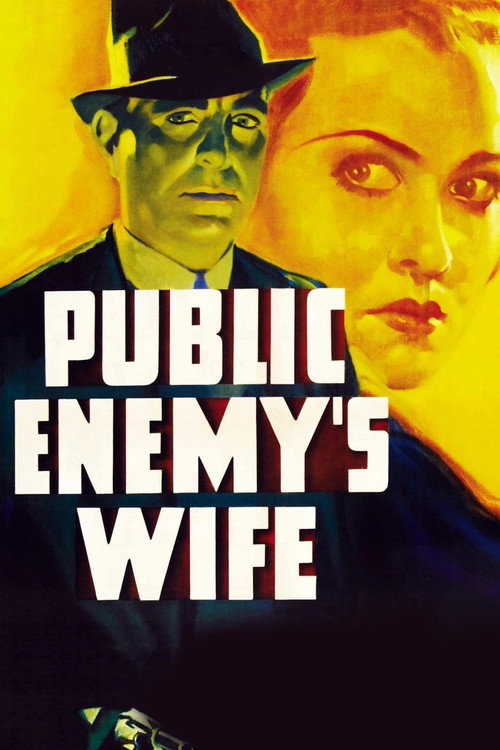 Public Enemy’s Wife poster