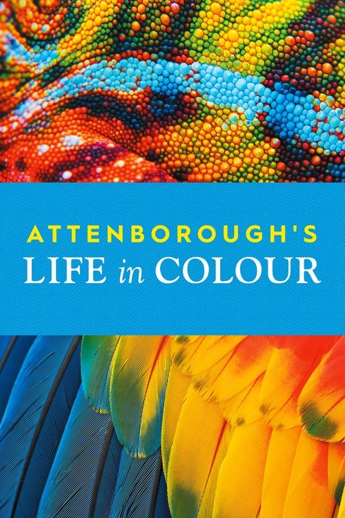 Attenborough’s Life in Colour poster