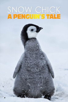 Snow Chick – A Penguin’s Tale poster