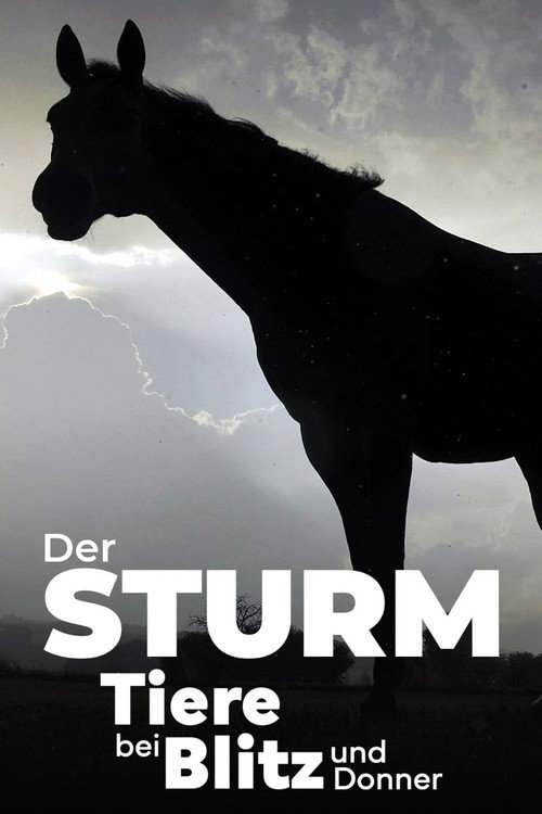 Der Sturm – Tiere bei Blitz und Donner poster