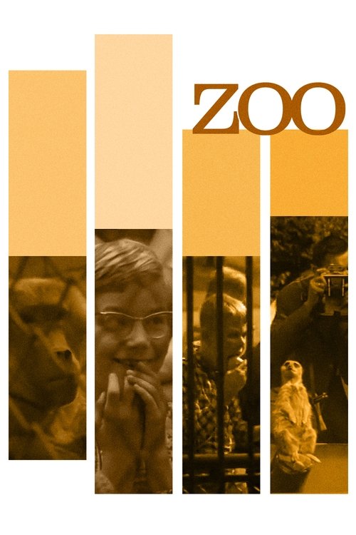 Zoo poster