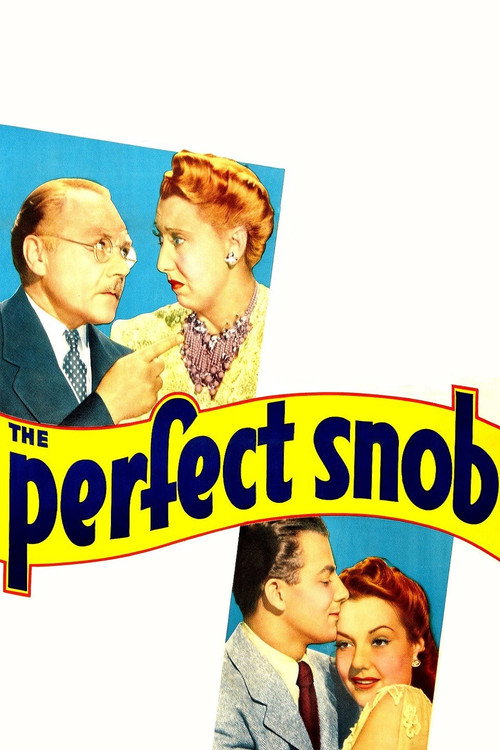 The Perfect Snob poster
