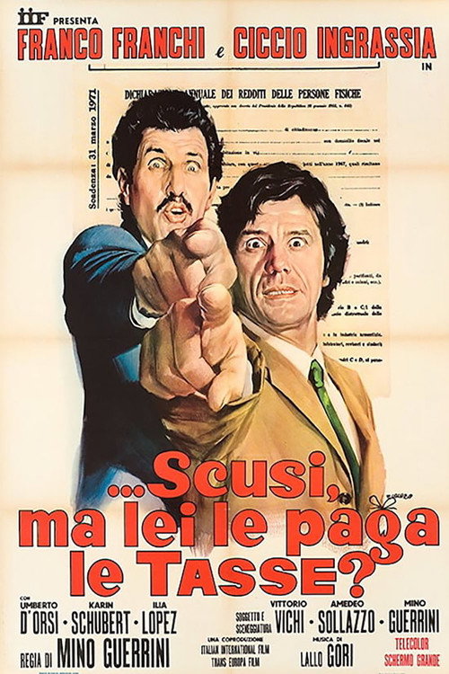 …Excuse Me, Do You Pay Taxes? poster