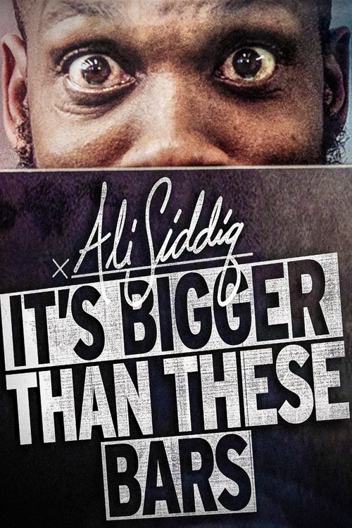 Ali Siddiq: It’s Bigger Than These Bars poster