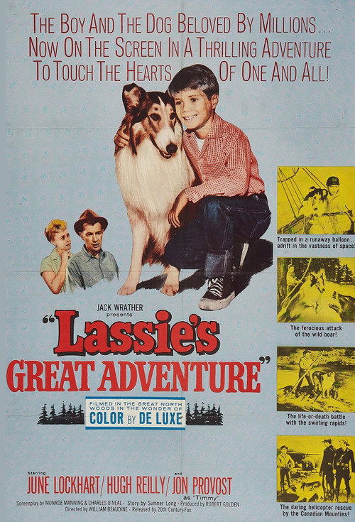 Lassie’s Great Adventure poster