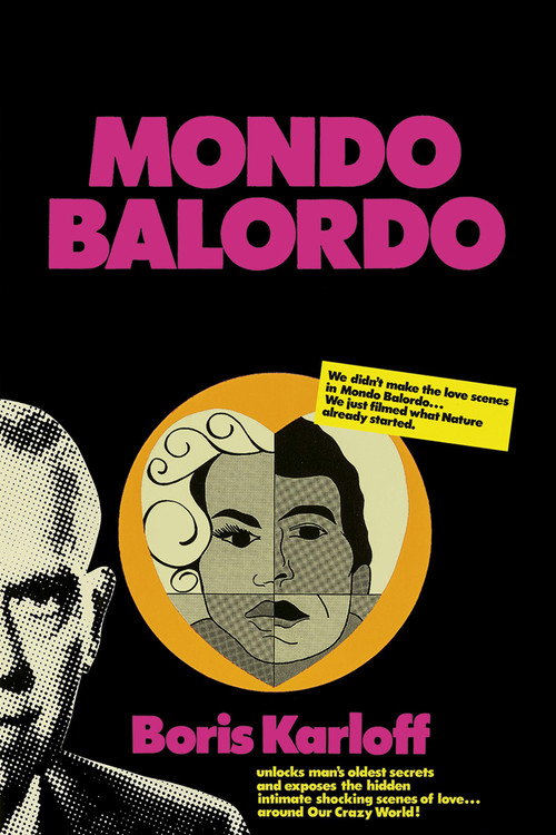 A Fool’s World poster