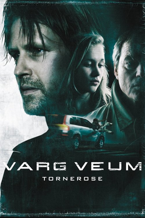 Varg Veum – Sleeping Beauty poster
