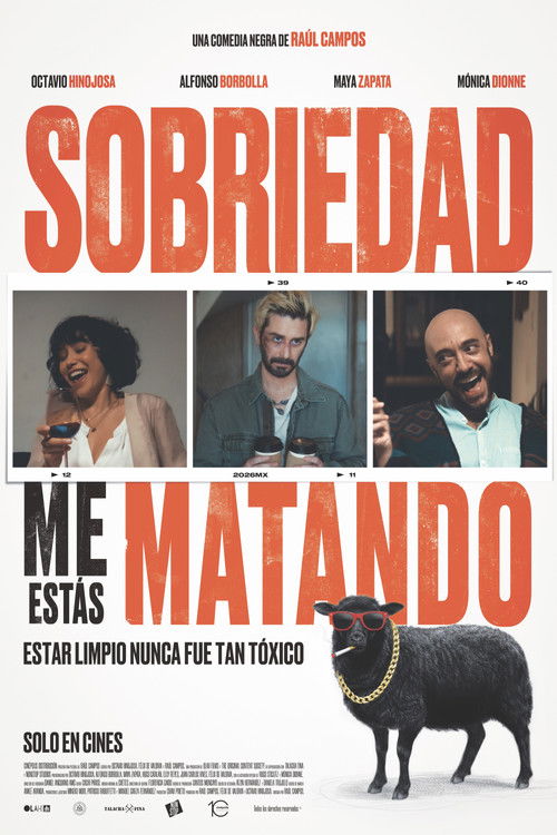 Dear Sobriety: You’re Killing Me poster