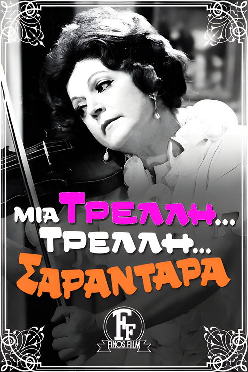 A Crazy… Crazy… 40-Year-Old Woman poster