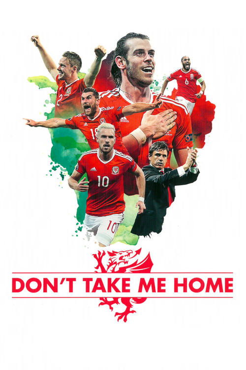 Don’t Take Me Home poster