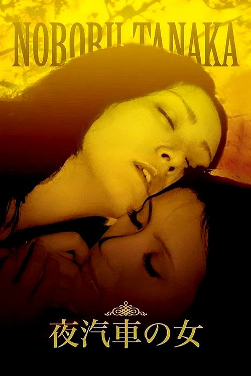 Woman on the Night Train poster