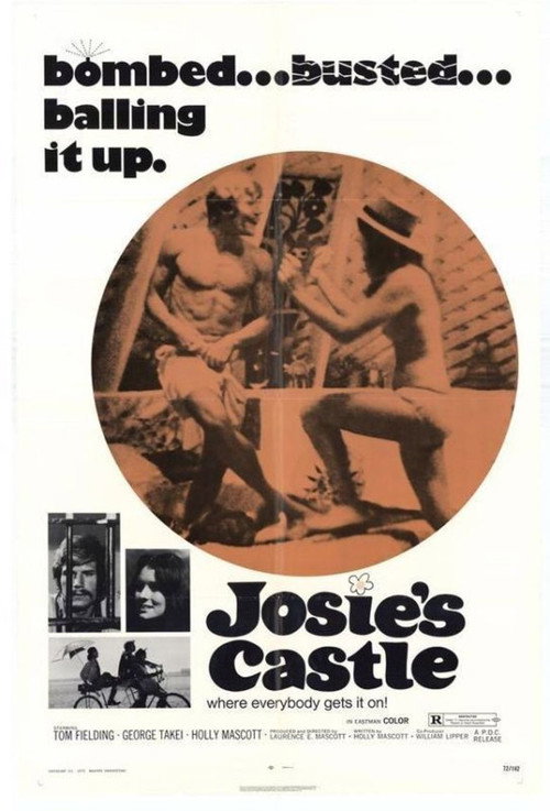 Josie’s Castle poster