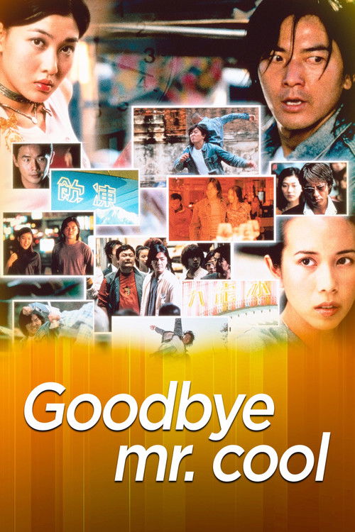 Goodbye, Mr. Cool poster