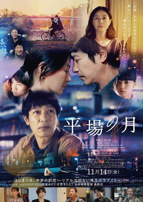 A Moon in the Ordinary poster