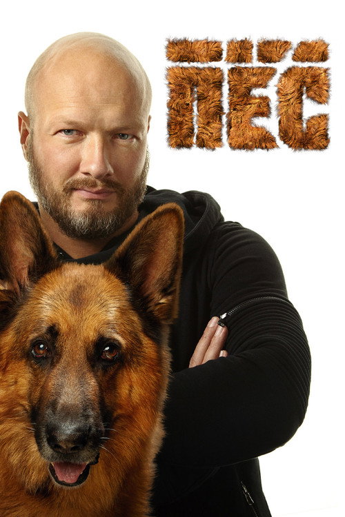 Dog poster
