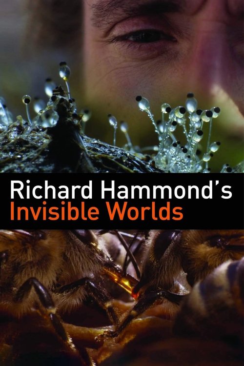 Richard Hammond’s Invisible Worlds poster