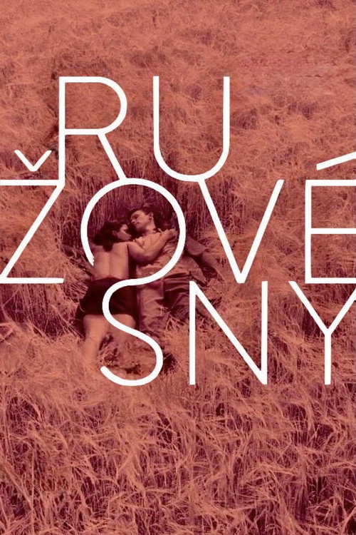 Rose Tinted Dreams poster