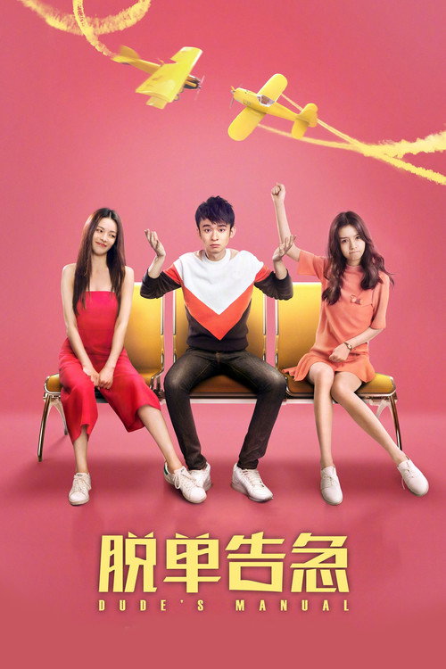 Dude’s Manual poster
