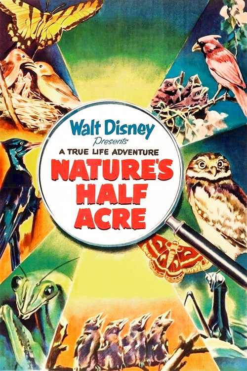 Nature’s Half Acre poster