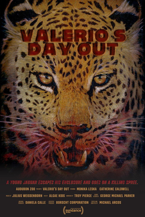 Valerio’s Day Out poster