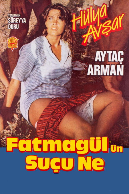 What’s Fatmagül’s Fault poster