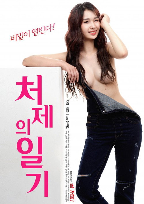 Sister-In-Law’s Diary poster
