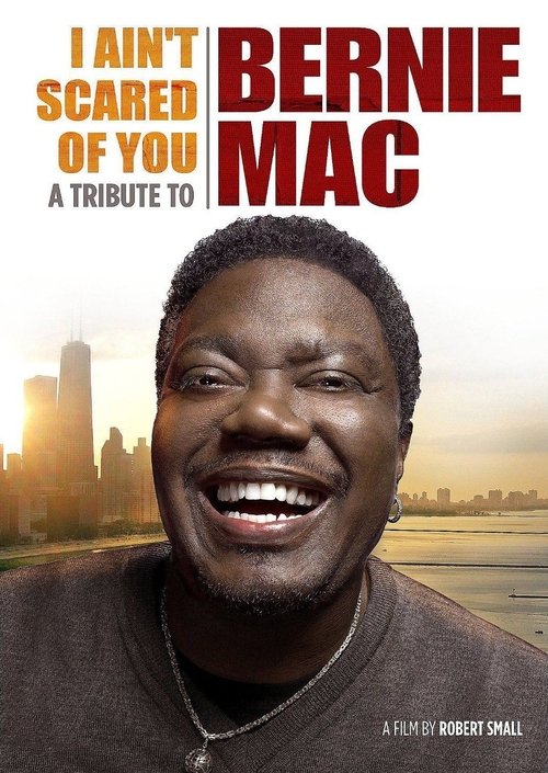 I Ain’t Scared of You: A Tribute to Bernie Mac poster