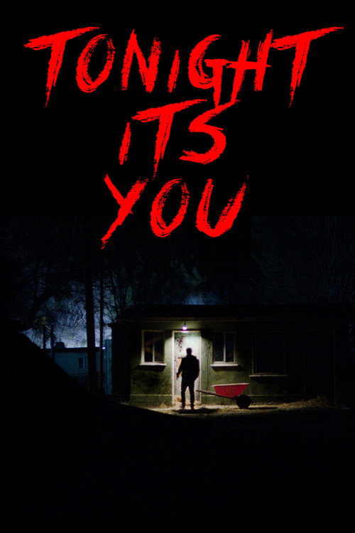 Tonight It’s You poster