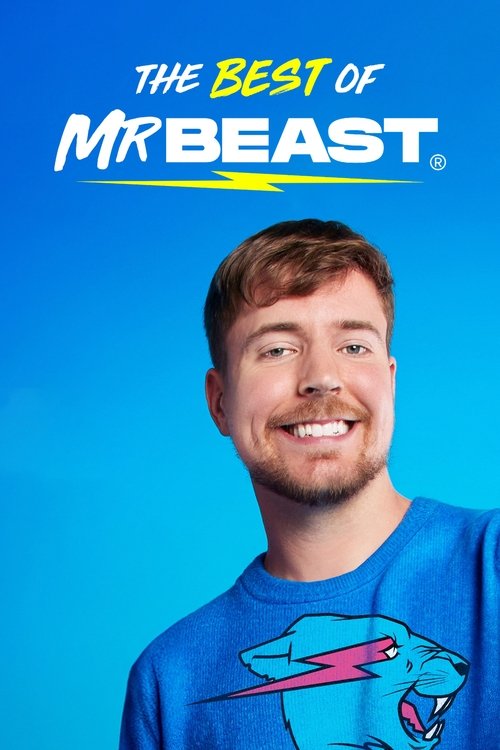 The Best of MrBeast poster