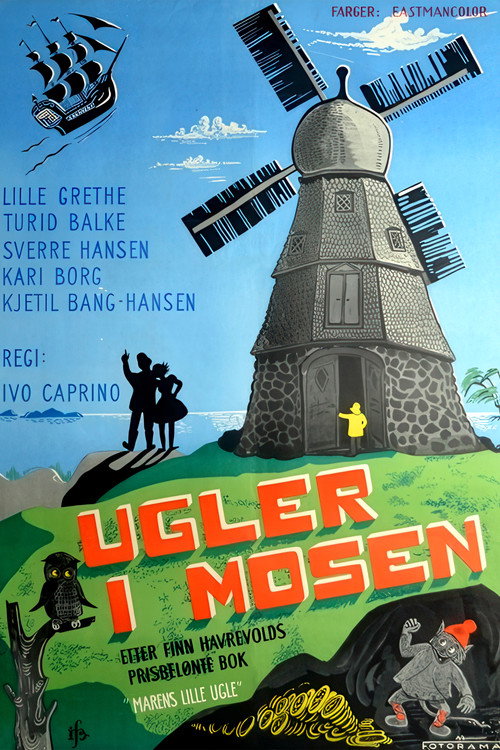 Owls in the Marsh poster