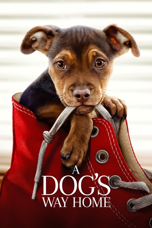 A Dog’s Way Home poster