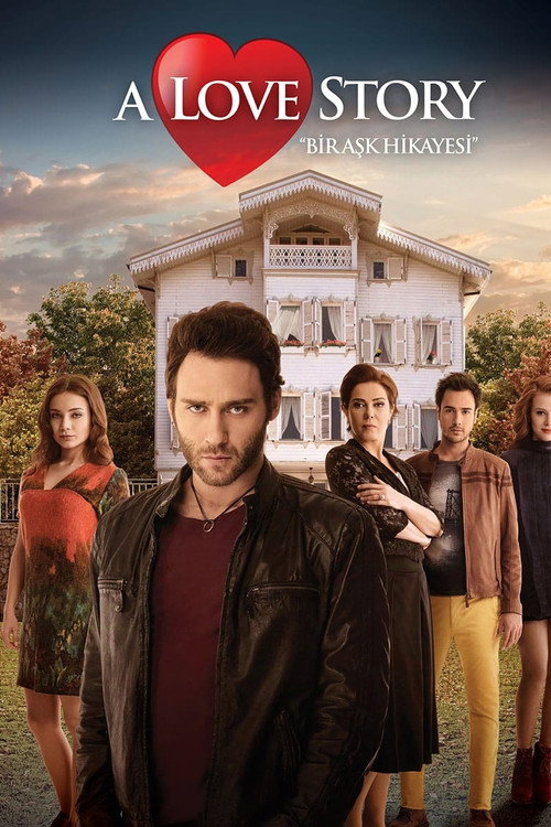 A Love Story poster