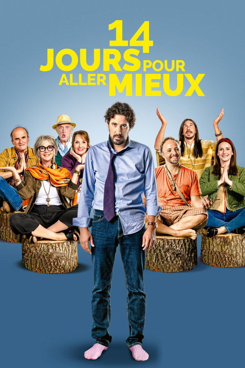 14 Days to Feel Better poster