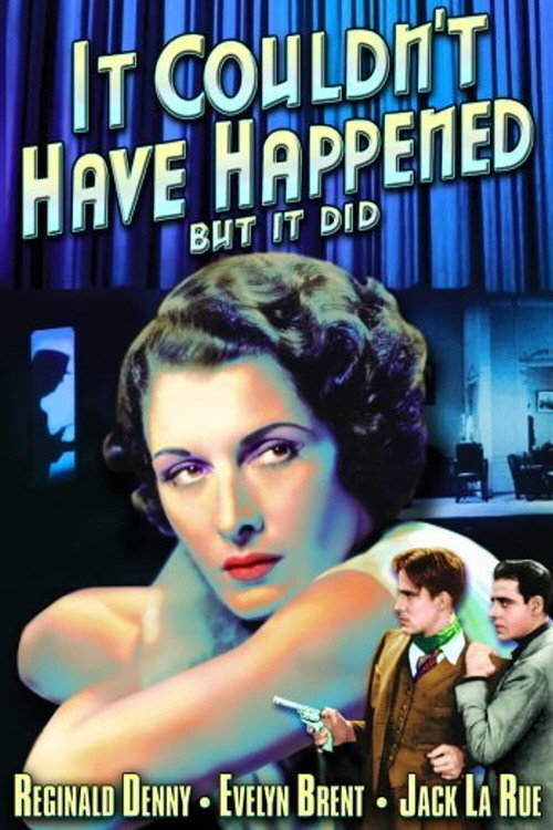 It Couldn’t Have Happened (But It Did) poster
